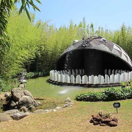 Ulivo Della Querce Villa Querce  Dış mekan fotoğraf