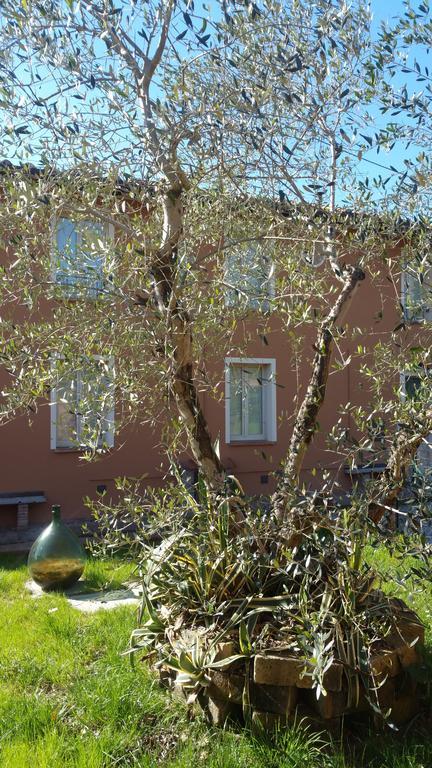 Ulivo Della Querce Villa Querce  Dış mekan fotoğraf