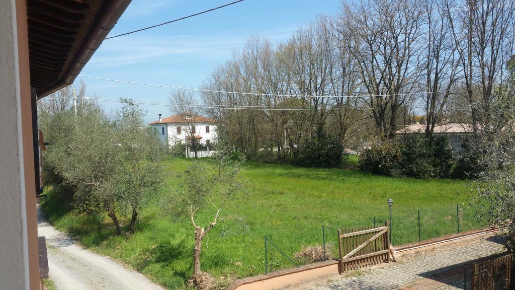 Ulivo Della Querce Villa Querce  Dış mekan fotoğraf