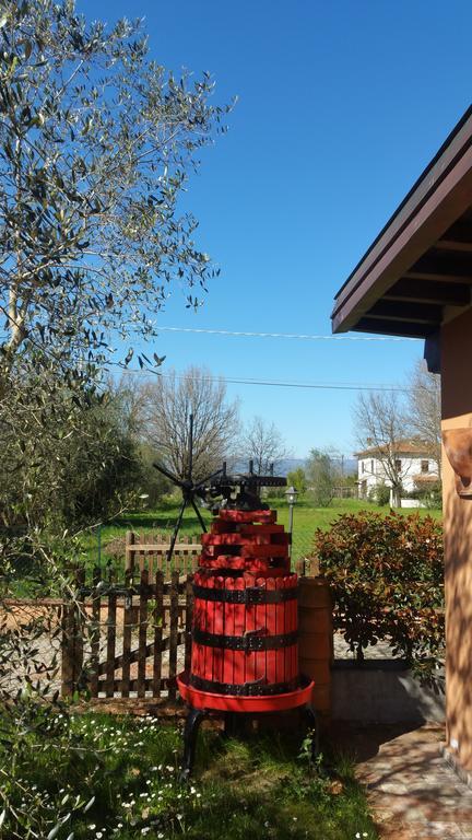 Ulivo Della Querce Villa Querce  Dış mekan fotoğraf