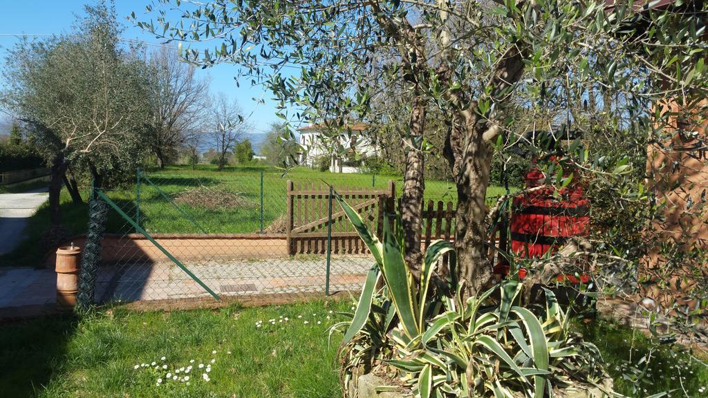 Ulivo Della Querce Villa Querce  Dış mekan fotoğraf